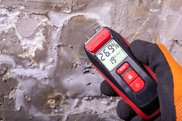 Best Mold Damage Repair  in Ashburn, VA