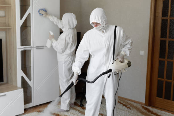 Best Toxic Mold Removal  in Ashburn, VA