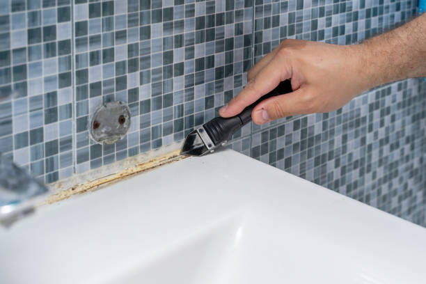Mold Testing and Removal in Ashburn, VA