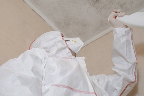 Crawl Space Mold Removal in Ashburn, VA