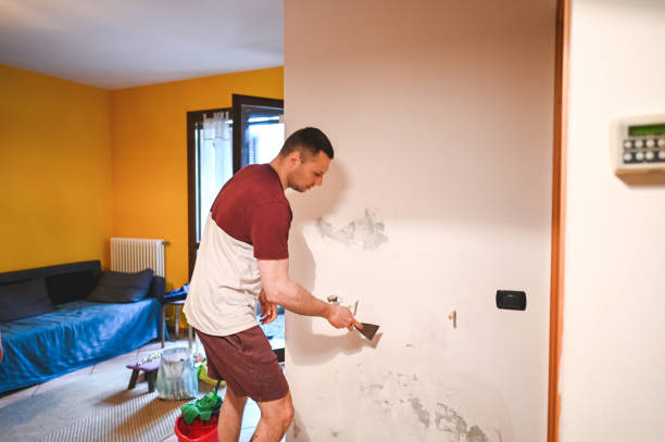 Best Residential Mold Removal  in Ashburn, VA